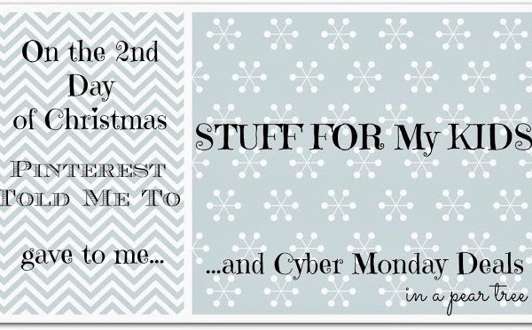 On The 2nd Day of Christmas:  Gifts for my Kids