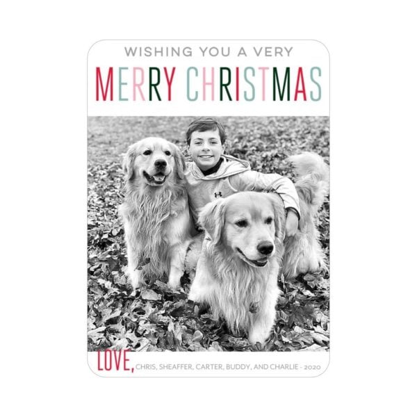 MERRY CHRISTMAS FROM THE SIMS FAMILY!