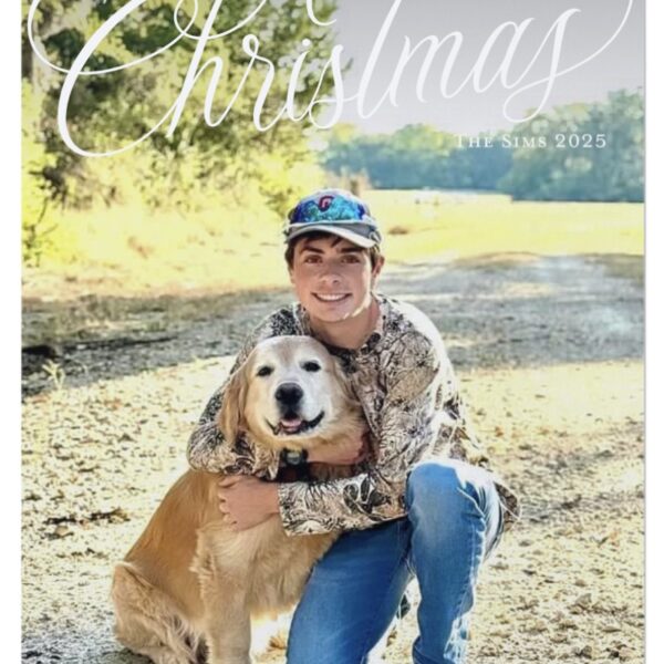 Merry Christmas from The Sims Family