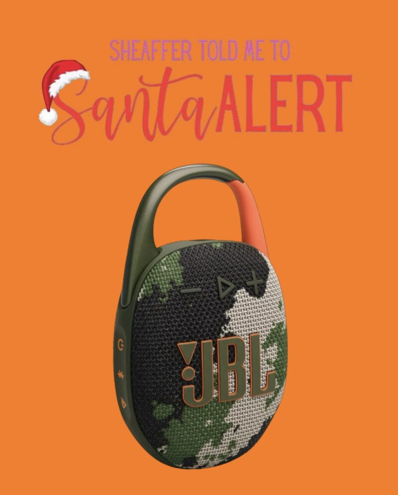 25 Santa Alerts (for Women, Men, and Kids) — Sheaffer Told Me To